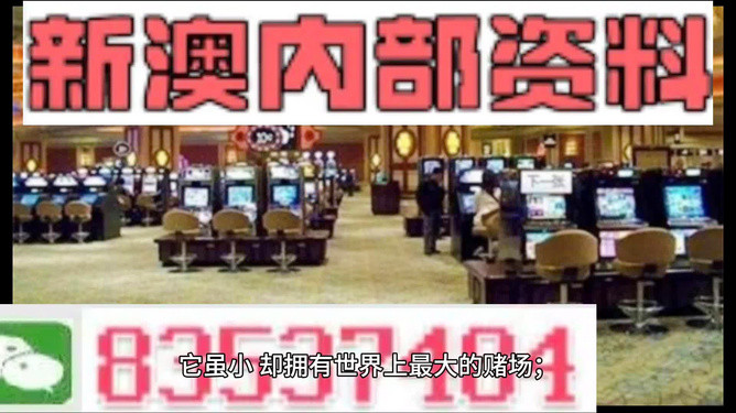 2024新澳精准正版资料_放松心情的绝佳选择_实用版349.510