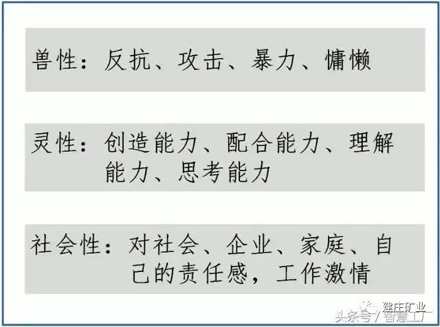 2023澳门开奖结果今晚1期,2024四不像正版最新版本,移动＼电信＼联通 通用版：iOS安卓版iphone493.588