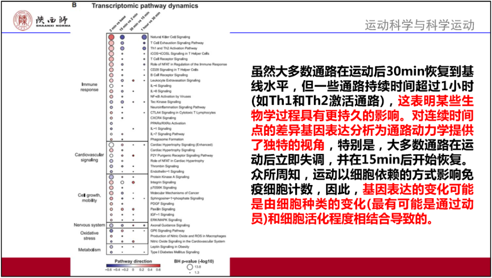 最准一肖100%最准的资料_作答解释落实_3DM54.34.66