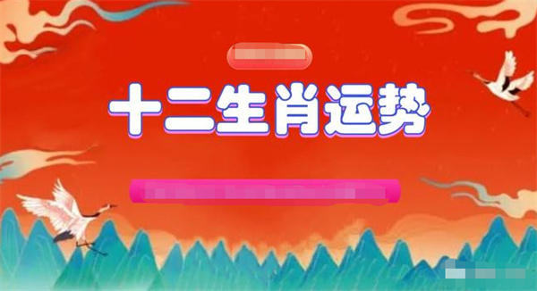 2024年一肖一码一中_详细解答解释落实_手机版982.455