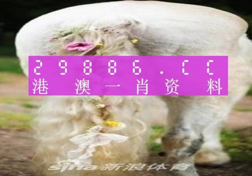 澳门平特一肖100%免费_结论释义解释落实_安装版v525.555