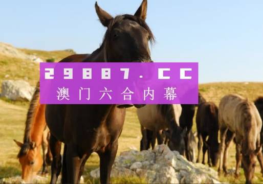 龙宫府 第18页